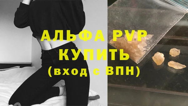 прущие грибы Беломорск