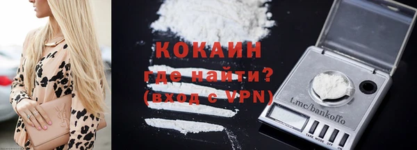 прущие грибы Беломорск