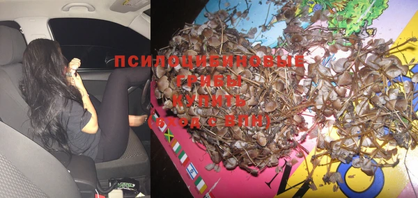 прущая мука Белоозёрский