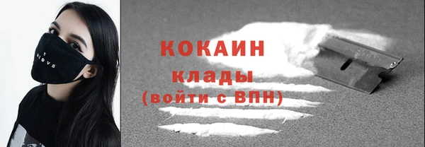прущие грибы Беломорск