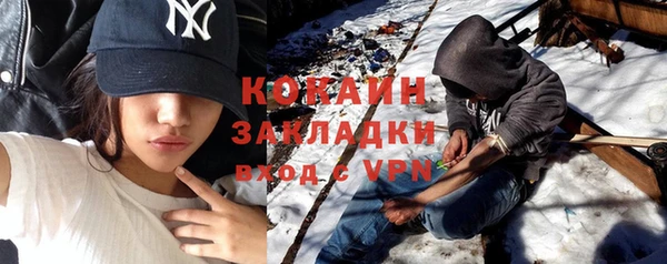 прущие грибы Беломорск