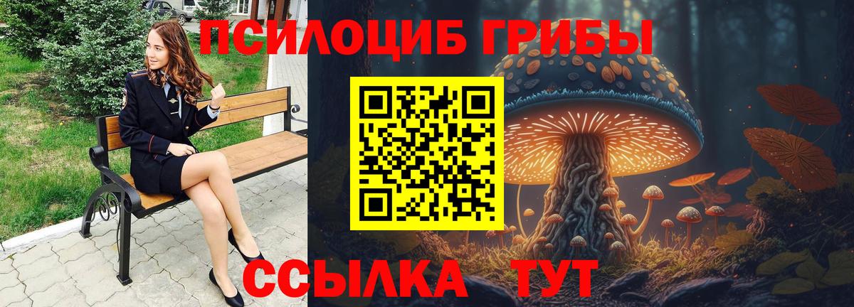 Галлюциногенные грибы GOLDEN TEACHER Буйнакск