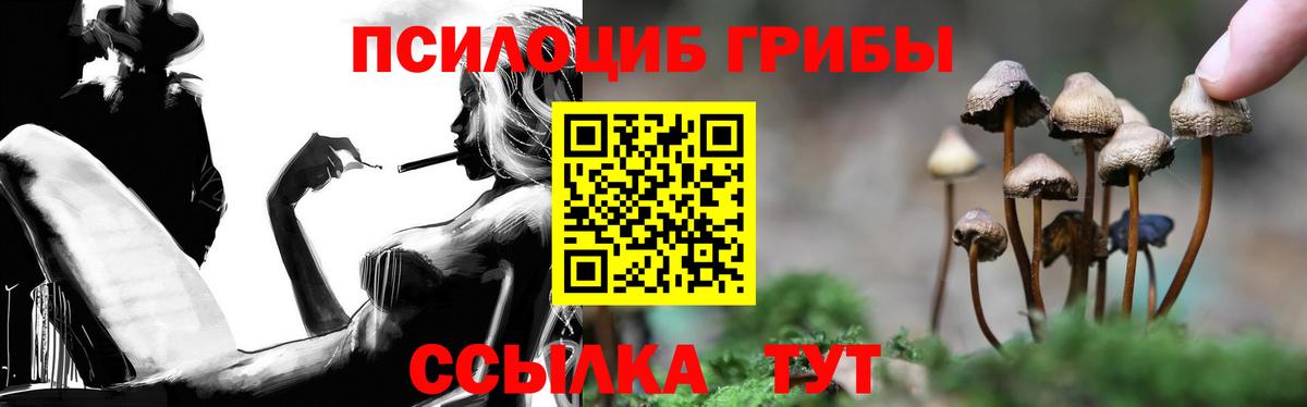 Псилоцибиновые грибы Psilocybe  Галлюциногенные грибы Psilocybe  Вход с VPN  Буйнакск 