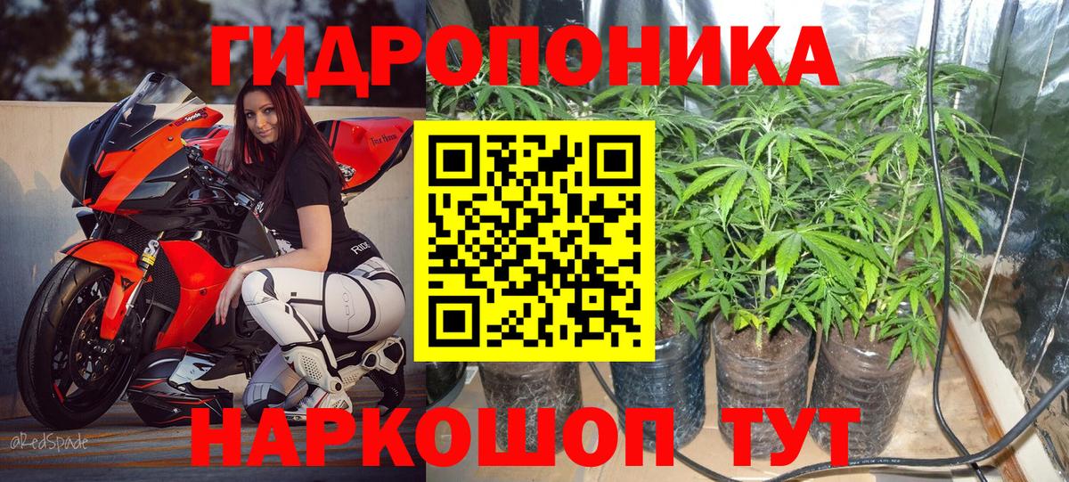 Канабис Ganja  Вход с VPN  МАРИХУАНА AK-47  Буйнакск  Шишки марихуана планчик  МАРИХУАНА ГИДРОПОН 